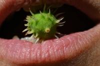 From the series "Beyond Fragments" | DER GREIF