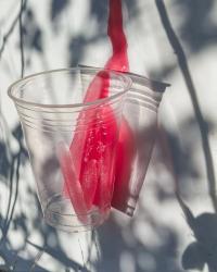 Anastasiia O., from the series "Today I saw a sunflower but it didn’t grow" | DER GREIF