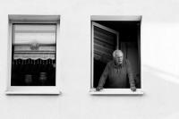 The Quiet Rise | DER GREIF