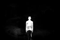 DER GREIF