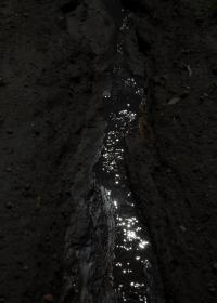 From the series "Raízhambre" | DER GREIF