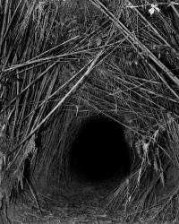 It’s Darkest Before The Dawn | DER GREIF