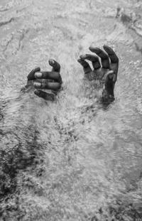 "Rebirth" | DER GREIF