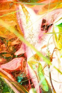 Andrea Grützner, "Die zarten Tiere der Psyche. Vorboten hier einer Musik". Courtesy the artist | DER GREIF