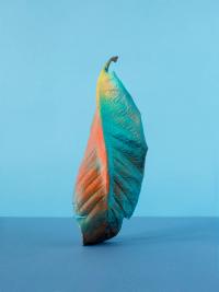 Alessandra D'Innella (London, United Kingdom), From the series "Fallen from Paradise" | DER GREIF