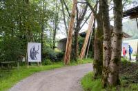 Photography Installations by Der Greif Studio | DER GREIF