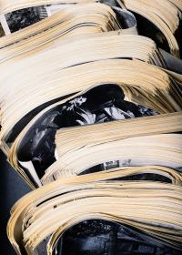 Alessio Pellicoro, "Nel quasi invisibile", 2022. 31,7 x 42 cm. | DER GREIF