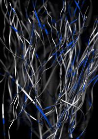 23082023-8 | DER GREIF