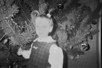 Archive: New Year's at Home | DER GREIF