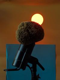 Closeup of a sun | DER GREIF