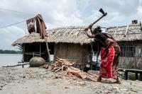 "Breaking Wood" | DER GREIF