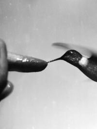 "Contact", Spain, 2026 | DER GREIF