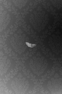 Daria Nazarova, from the series "Natura" | DER GREIF