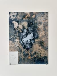 Installation view, Tobias Friedauer, "Drowning", 2026 © Jens Masmann | DER GREIF