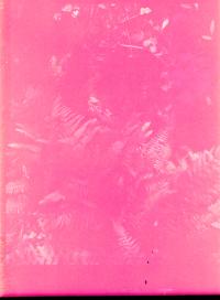 "Behind the Bulletin Board," C-Print, 18x21, 2019 | DER GREIF