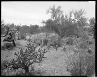 "Thirteen crosses at the site where thirteen people died from El Salvador (for Dora Rodriguez)", Arizona, United States,2024 | DER GREIF