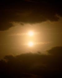 The blessings of Janus | DER GREIF