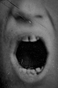 From the series "Presence" | DER GREIF