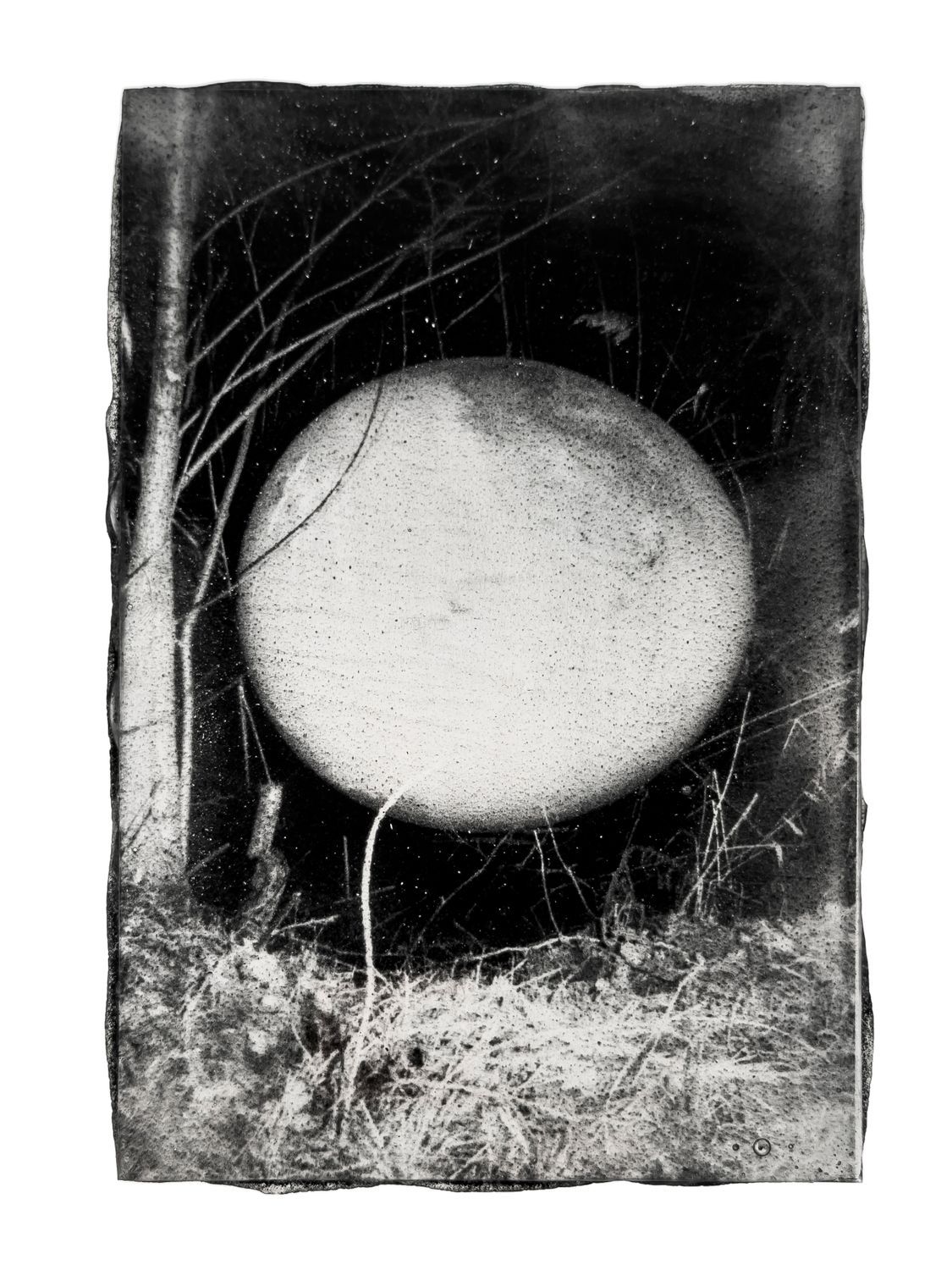 "Alien Weaponry I" from the series "Inherited structures" — Nick Verhaeghe