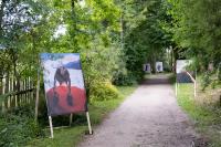 Art Consultancy Services by Der Greif Studio | DER GREIF