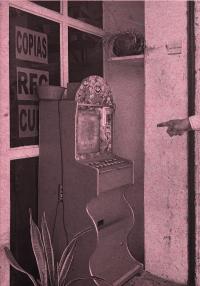 From the series "Hechizo" | DER GREIF