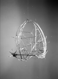 Analog Photograph of a Nettle Structure | DER GREIF