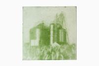 From the series "Bloom", Maumee River Watershed, United States, 2026 | DER GREIF