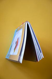 Cornucopia 3 | DER GREIF