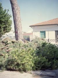 Claudia Bigongiari, From "Tanti Saluti dalla Luna", Italy, 2023 | DER GREIF