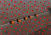 © Melissa Schriek | DER GREIF