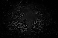 From the series "Presence" | DER GREIF