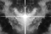 Untitled | DER GREIF