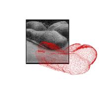 Ziggy Kolker, 5 bush, London, GBR, 2015 | DER GREIF