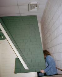 From the series "Ysanthem" | DER GREIF