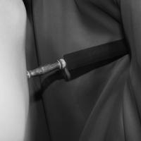 From the "The Dowry" | DER GREIF