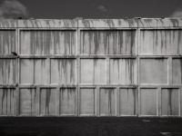 From the series "How to disappear", Den Haag, The Netherlands, 2024 | DER GREIF