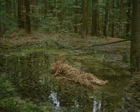 Chochoł, from A Lair | DER GREIF