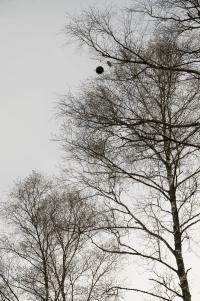 "Second Earth I | Landing", Stratosphere, Estonia, 2026 | DER GREIF