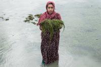 "Harvesting Hope" | DER GREIF