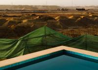 fata morgana | DER GREIF