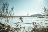 "Silence" | DER GREIF