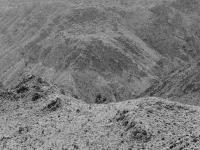 Fiona Filipidis (France/United Kingdom), From the series "Velvet" | DER GREIF