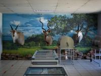 Meat Masters Slaghuis-Butchery, Standerton, 2025_25 | DER GREIF