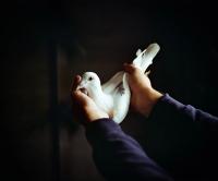 Laurie Broughton, "Rhy‘s Favourite Pigeon", 2025. | DER GREIF
