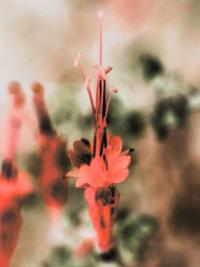 "Beacons" Spain, 2026 | DER GREIF