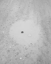 From the series "Why does the moon follow us everywhere we go?" | DER GREIF