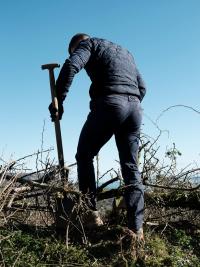 "Tree Planting" | DER GREIF