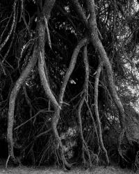 It’s Darkest Before The Dawn | DER GREIF