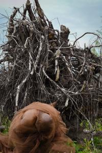 Untitled from "OUT FROM" | DER GREIF