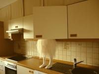 DER GREIF
